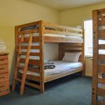 Mission Springs Outdoor Education - Cedar bedding for CC